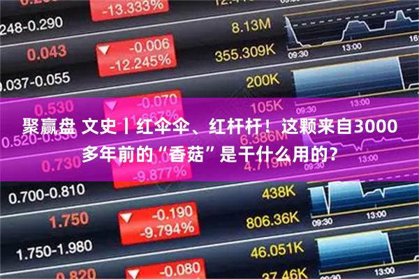 聚赢盘 文史丨红伞伞、红杆杆！这颗来自3000多年前的“香菇”是干什么用的？